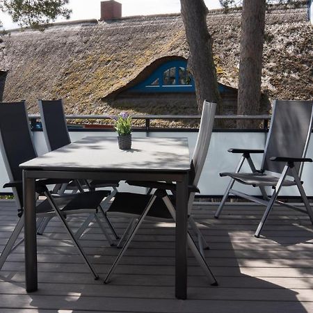 Haus am Dünenwald Düne 4 Daire Zingst Dış mekan fotoğraf